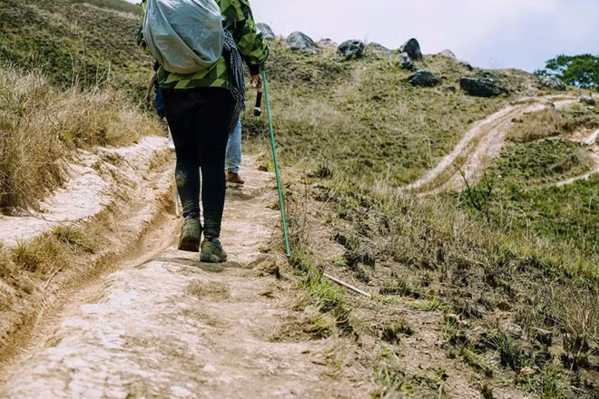 Khi đi trong rừng cần giẫm chắc chân để tránh trơn trượt. Phải cẩn thận với những hốc đá, gốc cây có bám rêu vì chúng rất trơn Khi đi trong rừng cần giẫm chắc chân để tránh trơn trượt. Phải cẩn thận với những hốc đá, gốc cây có bám rêu vì chúng rất trơn