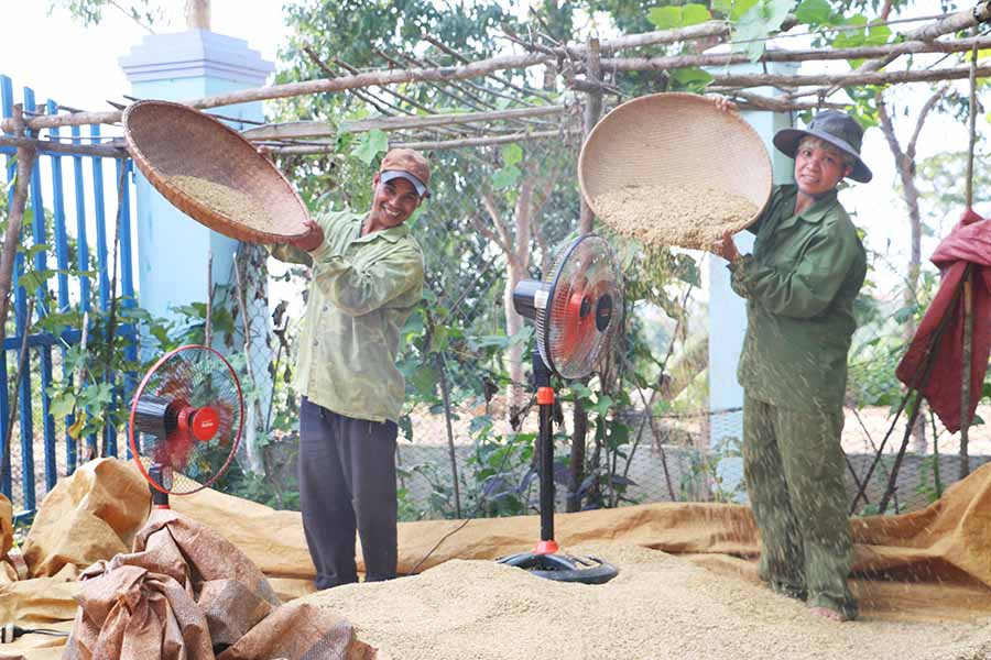 Đời sống kinh tế của gia đình chị Đinh Thị Tuất ngày một khấm khá hơn. Ảnh: Minh Thi