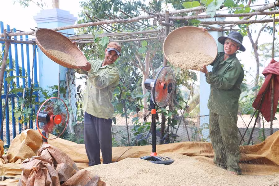 Đời sống kinh tế của gia đình chị Đinh Thị Tuất ngày một khấm khá hơn. Ảnh: Minh Thi