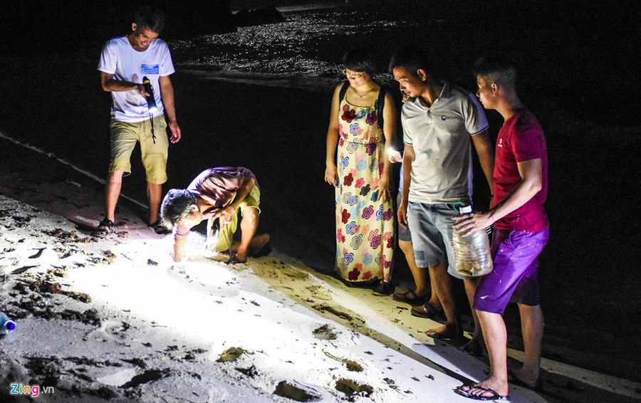  Sâm đưa nhóm du khách đi soi cua, bắt còng dọc theo bãi biển đảo Lý Sơn. 