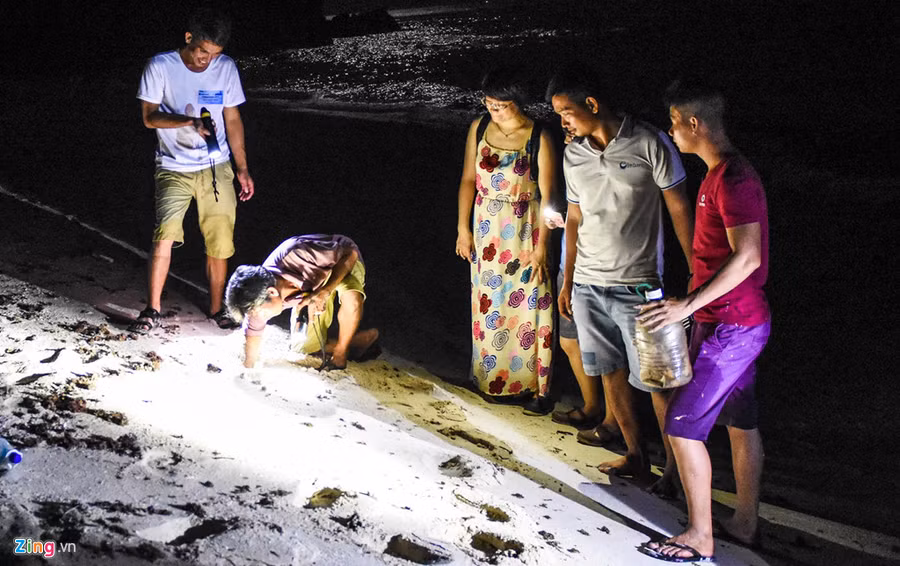  Sâm đưa nhóm du khách đi soi cua, bắt còng dọc theo bãi biển đảo Lý Sơn. 