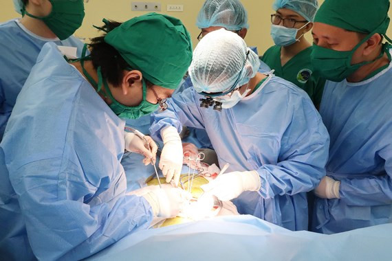 Các bác sĩ đang tiến hành ghép thận cho bệnh nhân Các bác sĩ đang tiến hành ghép thận cho bệnh nhân