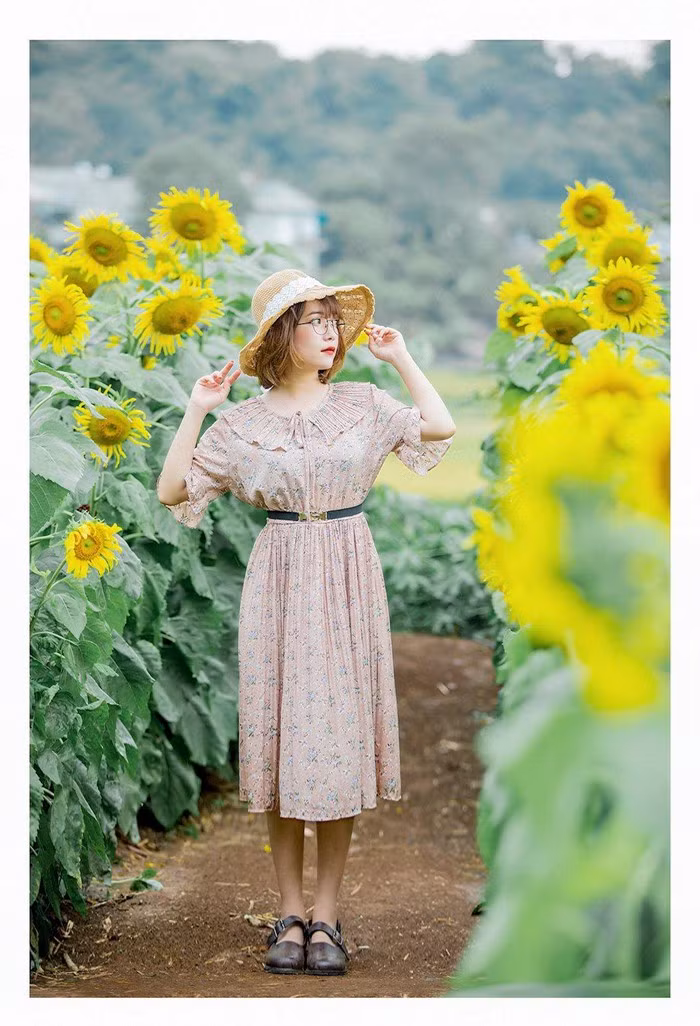 “Mặc dù rất đông người đến tham quan, chụp ảnh nhưng vườn hoa vẫn giữ được sắc vàng tươi tắn, nổi bật giữa phố núi”. Thán Uy chia sẻ.