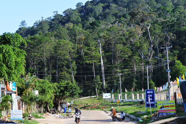 Đường Trường Sơn Đông góp phần thay đổi bộ mặt nông thôn các địa phương trên địa bàn tỉnh. Ảnh: Đ.T