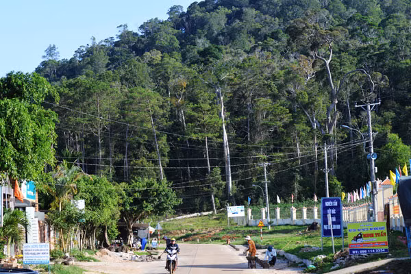 Đường Trường Sơn Đông góp phần thay đổi bộ mặt nông thôn các địa phương trên địa bàn tỉnh. Ảnh: Đ.T