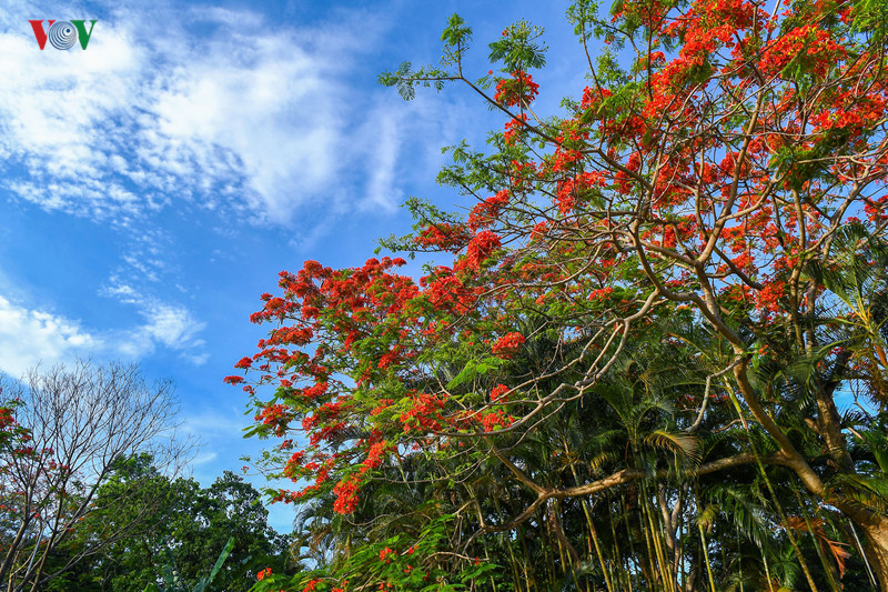 Vẻ đẹp ấy giúp Huế níu chân du khách, để lại ấn tượng khó phai sau mỗi lần chiêm ngưỡng, ngắm nhìn.