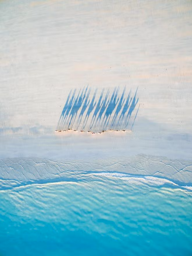 Bóng của những con lạc đà trên bãi biển Cable Beach, Tây Australia.