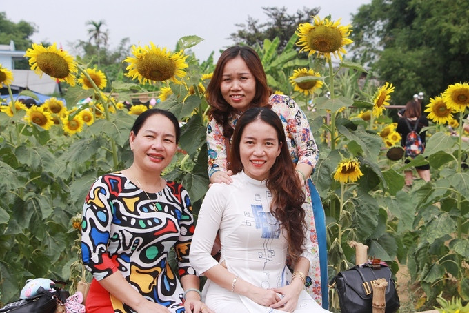  Ngoài các bạn trẻ, nhiều phụ nữ Huế cũng diện áo dài đến vườn hoa hướng dương tạo dáng chụp ảnh làm kỷ niệm.