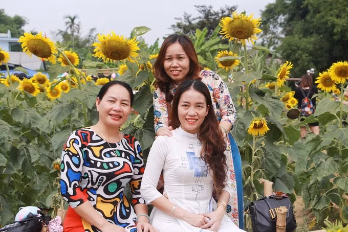  Ngoài các bạn trẻ, nhiều phụ nữ Huế cũng diện áo dài đến vườn hoa hướng dương tạo dáng chụp ảnh làm kỷ niệm.