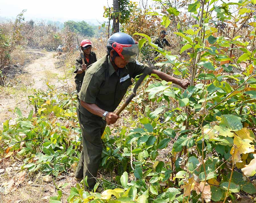  Phát đường ranh cản lửa để phòng- chống cháy lan. Ảnh: T.Đ