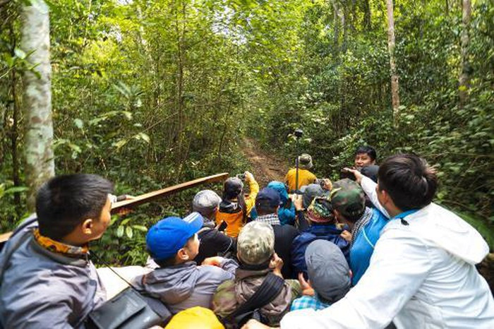  Con đường vào thác Én. Ảnh: Võ Việt-Nắng Hạ