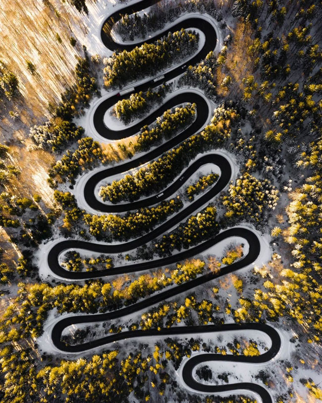 Con đường xuyên rừng ấn tượng ở Romania