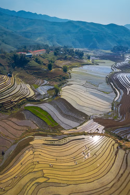  “Mùa này, nước ruộng đổ từ bậc ruộng này sang bậc ruộng khác, cuốn theo màu của phù sa hòa lẫn với màu của bầu trời phản chiếu, làm tôi cảm giác như đang ngắm một bức tranh vẽ”, nhiếp ảnh gia Minh Dũng chia sẻ. Du khách đặt chân đến huyện Bát Xát còn được trải nghiệm cuộc sống văn hóa đậm chất vùng cao của các dân tộc như Hà Nhì, Mông, Dao hay Giáy. Mỗi dân tộc có nét sinh hoạt riêng nhưng điểm chung khi ra đồng là sử dụng trâu cày bừa để ải đất, chuẩn bị cho vụ cấy. Họ khó đưa máy cày xuống ruộng do đặc thù những thửa ruộng bậc thang hẹp về bề ngang.