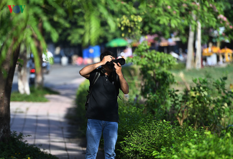 Trước những bông hoa đang khoe sắc thắm, bạn cũng có thể chụp ảnh để lưu giữ những hình ảnh đẹp về Huế.