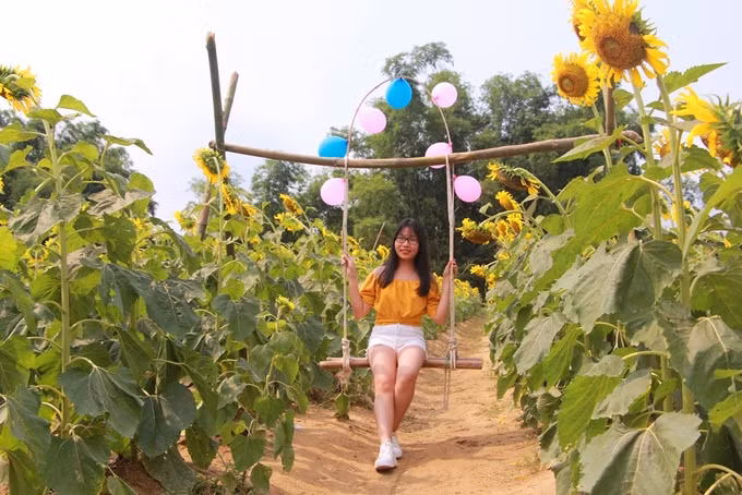  Xích đu được anh Quỳnh thiết kế ngay giữa vườn hoa để du khách đến tham quan, nghỉ chân hay 