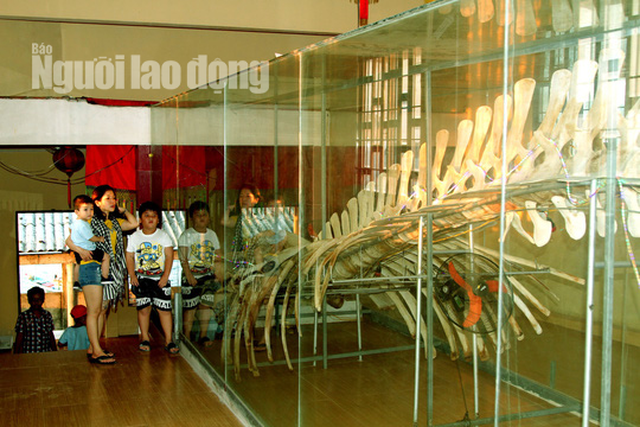  Đến Nam Du, du khách được chiêm ngưỡng bộ xương cá khổng lồ ở Dinh Nam Hải Ngư Thần