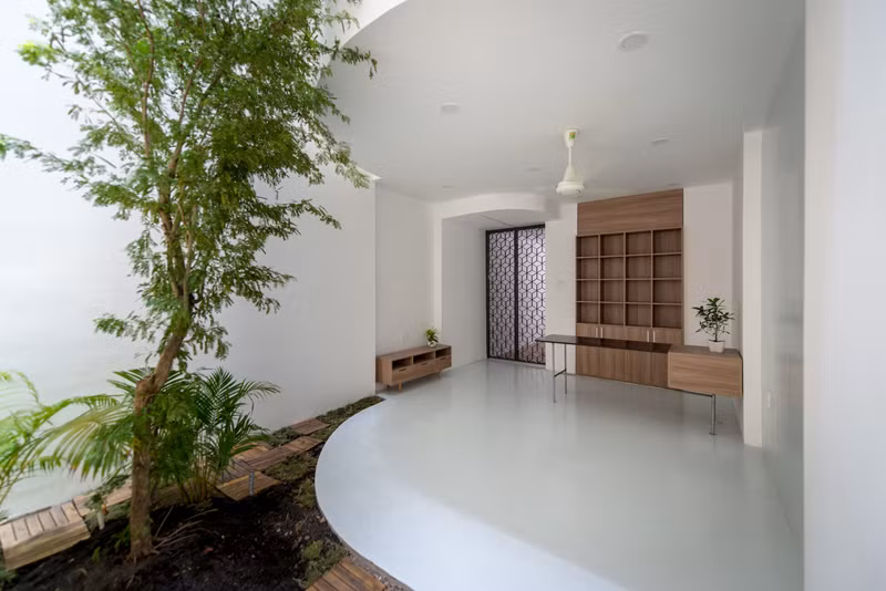  Nhờ có ánh sáng mà cây có thể phát triển xanh tốt ở đây.