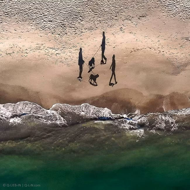 "Vũ điệu" của những chiếc bóng ở Odessa, Ukrakine