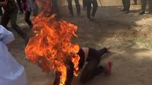 Ảnh minh họa (nguồn internet)