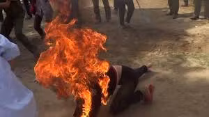 Ảnh minh họa (nguồn internet)