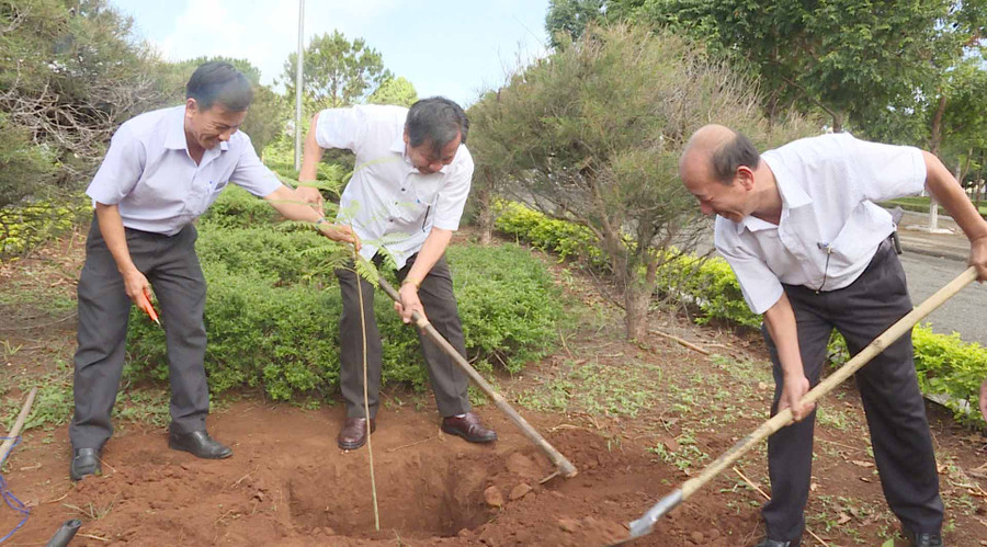 Lãnh đạo huyện Chư Pah trồng cây tượng trưng tại khu vực Quảng trường huyện. Ảnh: Lê Hải