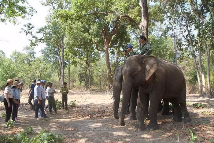  Đón hơn 86.500 lượt du khách dịp Lễ 30/4 - 01/5. Ảnh minh họa (nguồn: Báo Đắk Lắk)