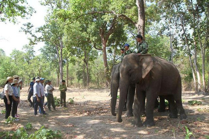  Đón hơn 86.500 lượt du khách dịp Lễ 30/4 - 01/5. Ảnh minh họa (nguồn: Báo Đắk Lắk)