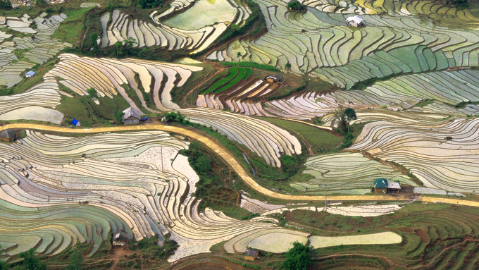 Mùa nước đổ là một trong những khoảng thời gian lý tưởng để du khách khám phá khu vực miền núi phía Bắc. Trần Minh Dũng (TP HCM) cho biết anh đã rong ruổi từ thành phố Lào Cai và được ngắm nhiều thửa ruộng bậc thang thuộc huyện Bát Xát như Mường Hum - Sàng Ma Sáo - Dền Sáng - Y Tý và thung lũng Thiên Sinh (ảnh).