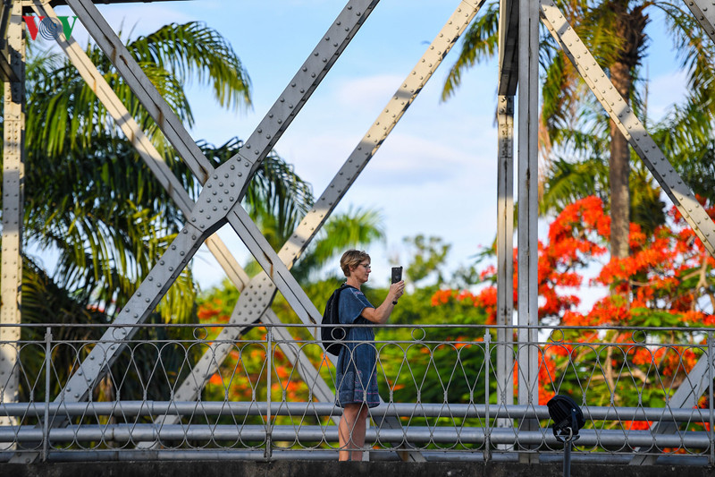  Phượng rụng đầy mái ngói, rung rinh trong nắng sớm, thu hút du khách tới nghỉ chân. Loài hoa này gắn liền với cuộc sống nhiều thế hệ người dân xứ Huế, đặc biệt là gắn bó với biết bao kỷ niệm của tuổi học trò.