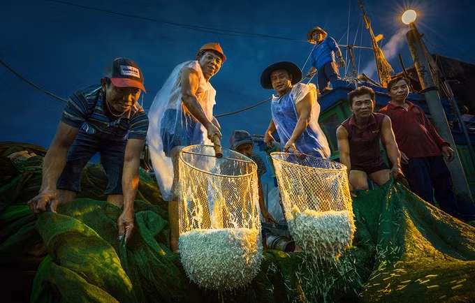 “Mỗi lượt đánh bắt thu hoạch được vài sọt cá, mỗi sọt hơn 10 kg và bán với giá hơn một triệu đồng”, anh Hòa dẫn lời một ngư dân từ làng chài Nhơn Hội cho biết.