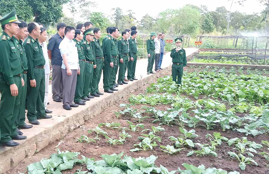  Đoàn cán bộ chỉ huy các đơn vị tham quan mô hình điểm tăng gia sản xuất tại Đồn Biên phòng Ia Lốp. Ảnh: T.K.N