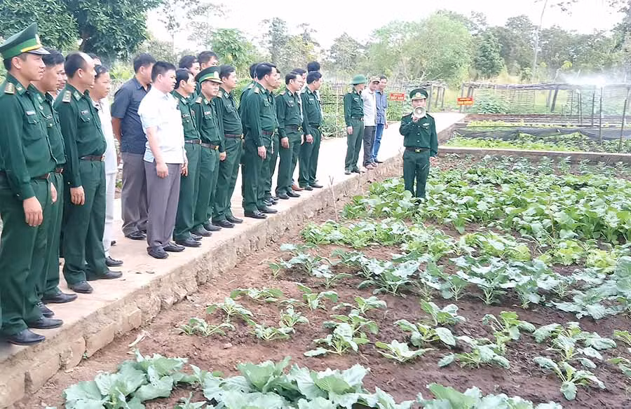  Đoàn cán bộ chỉ huy các đơn vị tham quan mô hình điểm tăng gia sản xuất tại Đồn Biên phòng Ia Lốp. Ảnh: T.K.N