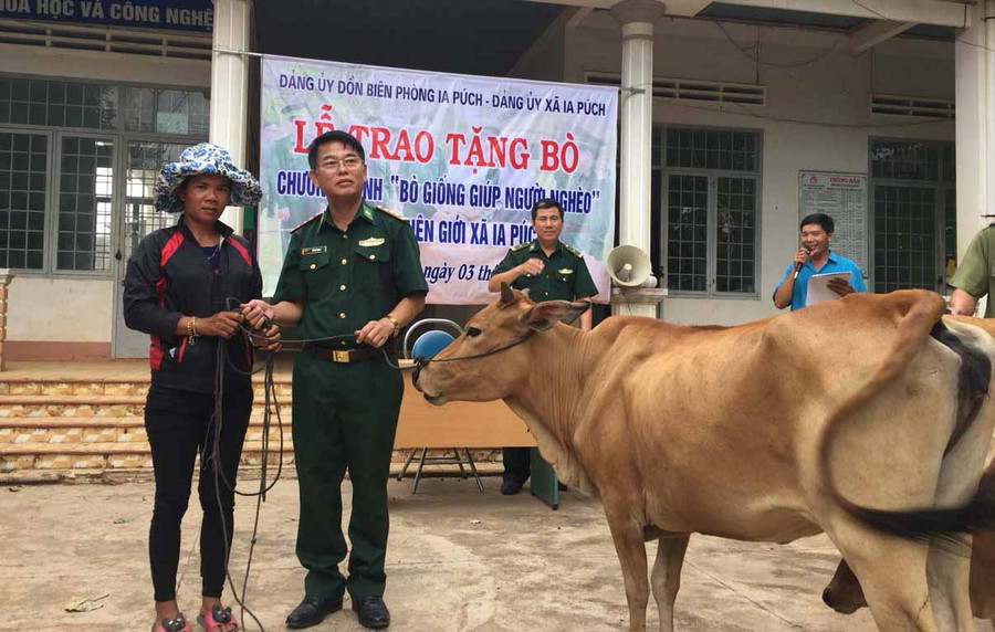 Lãnh đạo Đồn Biên phòng Ia Púch trao bò giống cho hộ nghèo. Ảnh: Anh Huy