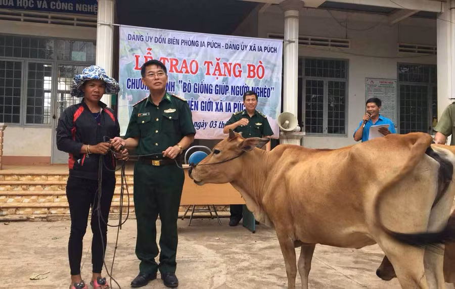 Lãnh đạo Đồn Biên phòng Ia Púch trao bò giống cho hộ nghèo. Ảnh: Anh Huy