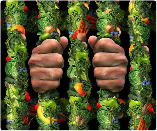  Kỹ lưỡng đến mức cố chấp chuyện ăn lành mạnh có thể là dấu hiệu bệnh - ảnh: MEDICAL-NEWS