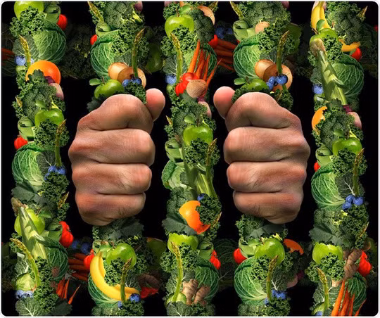  Kỹ lưỡng đến mức cố chấp chuyện ăn lành mạnh có thể là dấu hiệu bệnh - ảnh: MEDICAL-NEWS