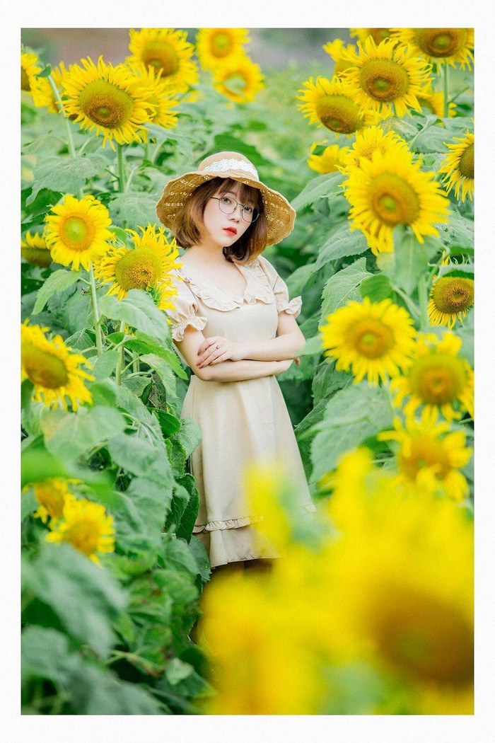  Khung cảnh nên thơ của vườn hoa hướng dương khiến bản thân cô vô cùng cảm thấy thoải mái, nhẹ nhàng sau những giờ học tập và làm việc căng thẳng.