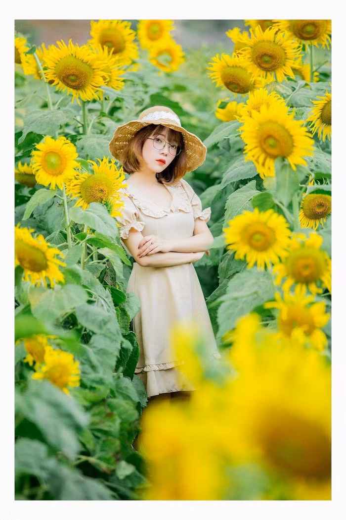  Khung cảnh nên thơ của vườn hoa hướng dương khiến bản thân cô vô cùng cảm thấy thoải mái, nhẹ nhàng sau những giờ học tập và làm việc căng thẳng.