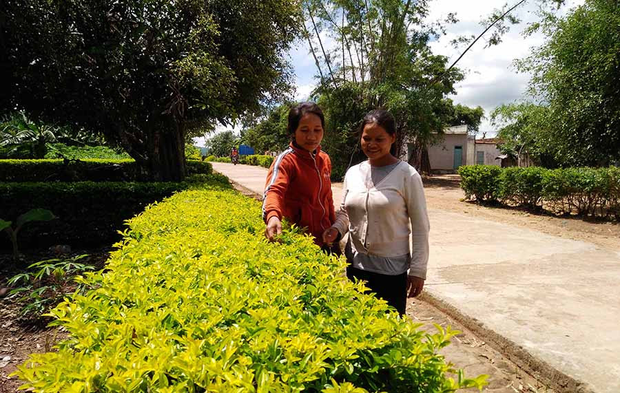  Hội viên, phụ nữ làng Jun (xã Yang Bắc, huyện Đak Pơ) tham gia trồng cây chuỗi ngọc làm hàng rào. Ảnh: N.M