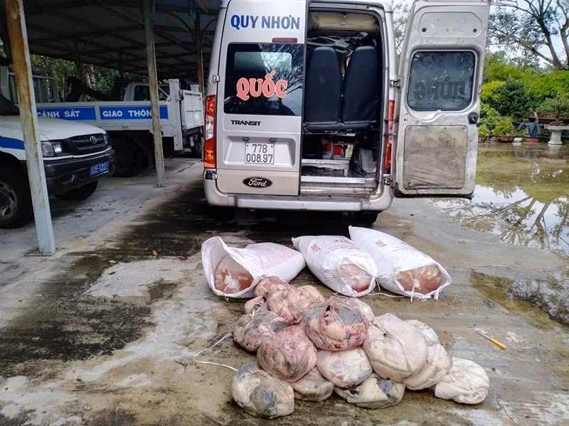 Số thịt không rõ nguồn gốc bốc mùi hôi thối được phát hiện trên xe khách. Ảnh: TN.