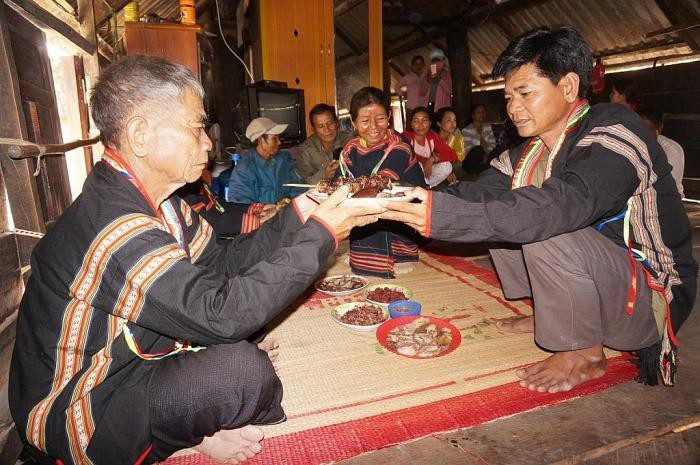 Để tạ ơn công sinh dưỡng của cha mẹ, những cặp vợ chồng Gia Rai sẽ cố gắng nuôi thật nhiều lợn, gà để giết thịt làm vật cúng. Lễ cúng thường được tổ chức vào tiết nông nhàn, sau lễ mừng lúa mới (Ảnh: Báo Đăk Lăk).