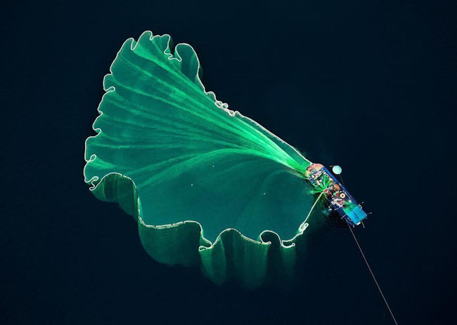 Cảnh quăng lưới ở Hòn Yến, Việt Nam khiến ai cũng phải ngỡ ngàng