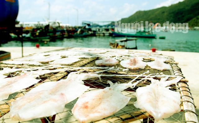 Mực phơi 1 nắng để bán cho du khách đến tham quan về làm quà