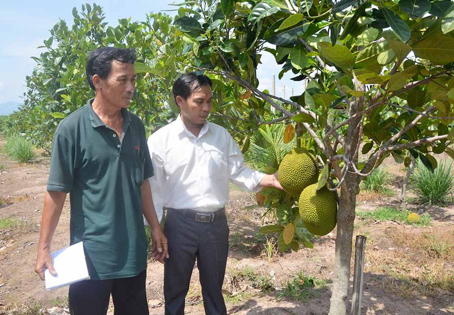  Chi hội Nông dân tổ 4 (phường Sông Bờ, thị xã Ayun Pa) vận động hội viên áp dụng tiến bộ khoa học kỹ thuật vào sản xuất. Ảnh: Đ.P