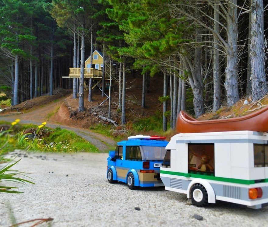  Ở trong một ngôi nhà trên cây ở Raglan.