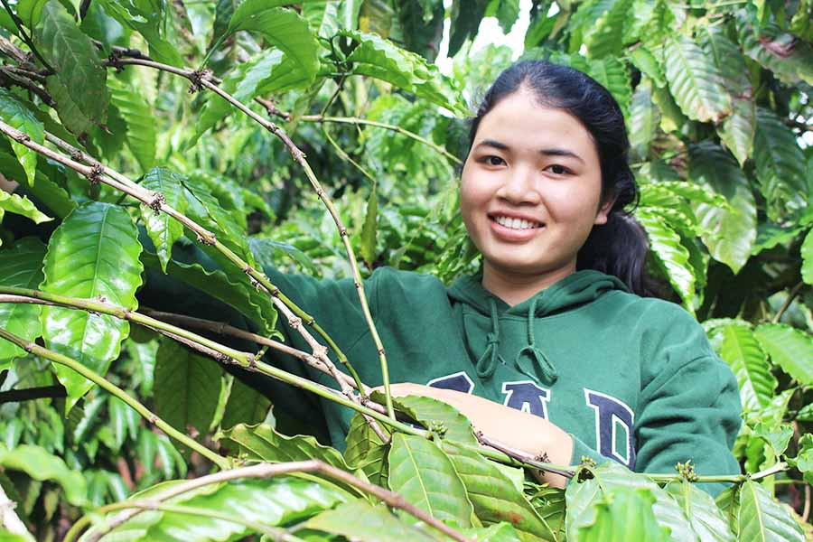  Em Bĩch chăm sóc vườn cà phê phụ giúp gia đình lúc rảnh rỗi. Ảnh: N.G