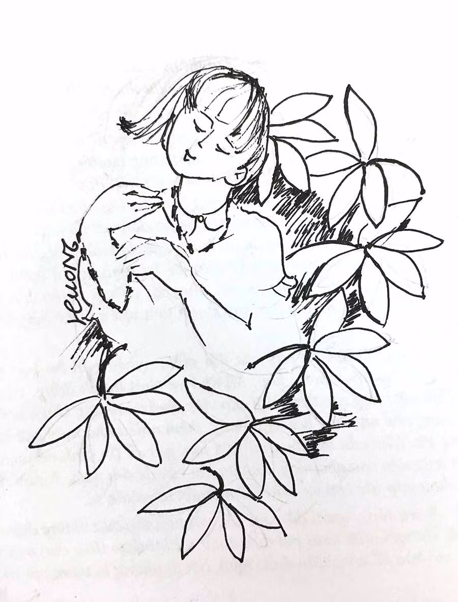  Minh họa: KIM HƯƠNG