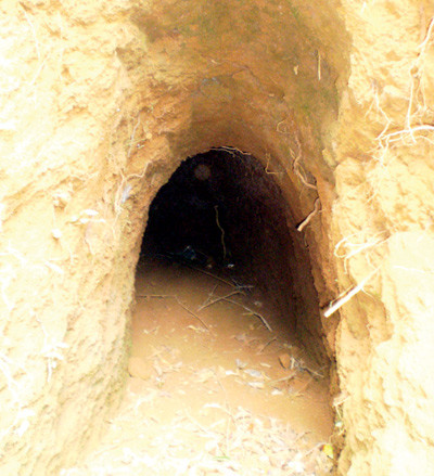 Miệng cửa chính vào hệ thống địa đạo gò Thì Thùng.