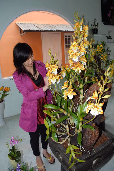 Giỏ lan rừng được làm từ đất sét trong giống hệt như lan ngoài tự nhiên. Ảnh: Ngô Khắc Lịch Giỏ lan rừng được làm từ đất sét trong giống hệt như lan ngoài tự nhiên. Ảnh: Ngô Khắc Lịch