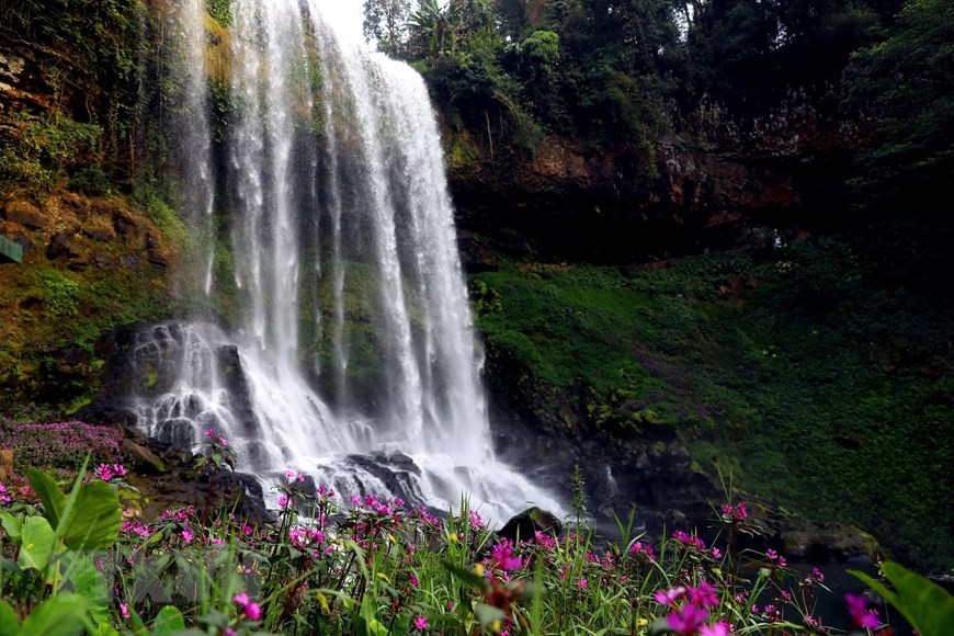 Lâm Đồng: Ngỡ ngàng trước vẻ đẹp hoang sơ của thác Đambri ảnh 4 Xung quanh tháp Đambri luôn có các khóm hoa nở quanh năm tô điểm thêm cho vẻ đẹp nơi đây.